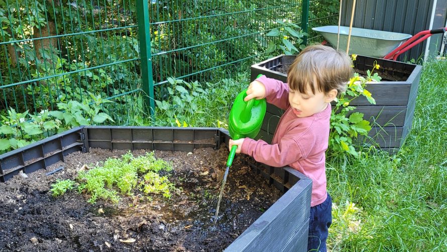 Kita BeerenStark des Unionhilfswerks