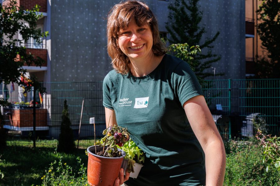 Projekt "Pflegeacker" im Unionhilfswerk